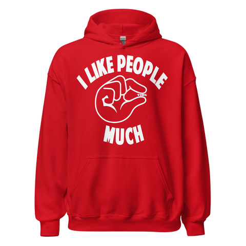 I LIKE PEOPLE this MUCH HOODIE